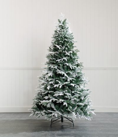 6 Foot Christmas Tree for Sale Online - The Christmas Tree Company