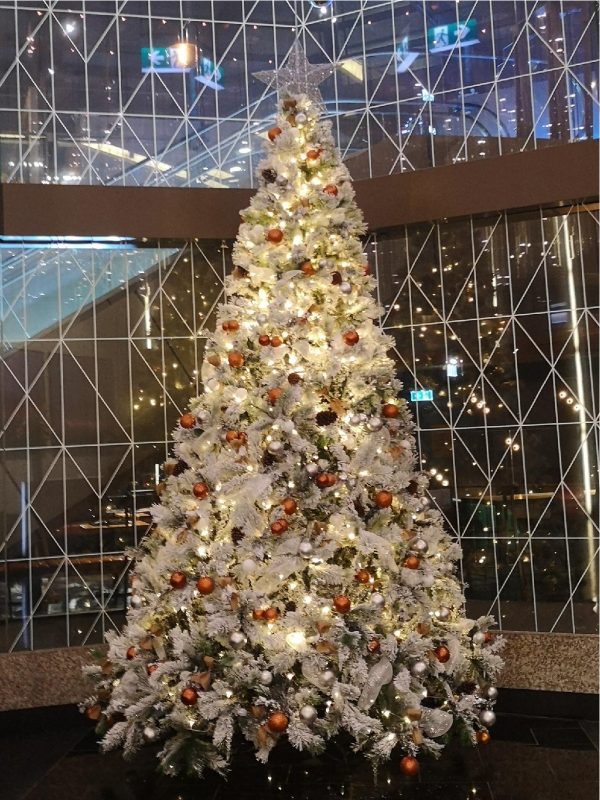 Gallery - The Christmas Tree Company