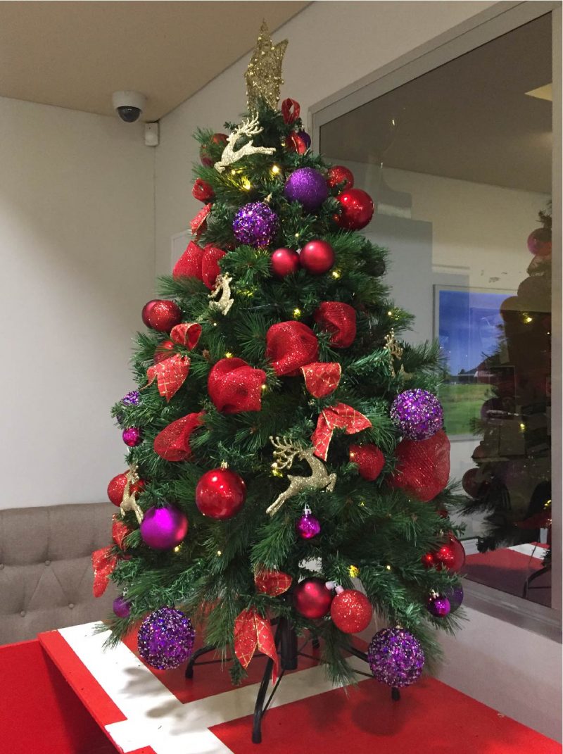 Gallery The Christmas Tree Company