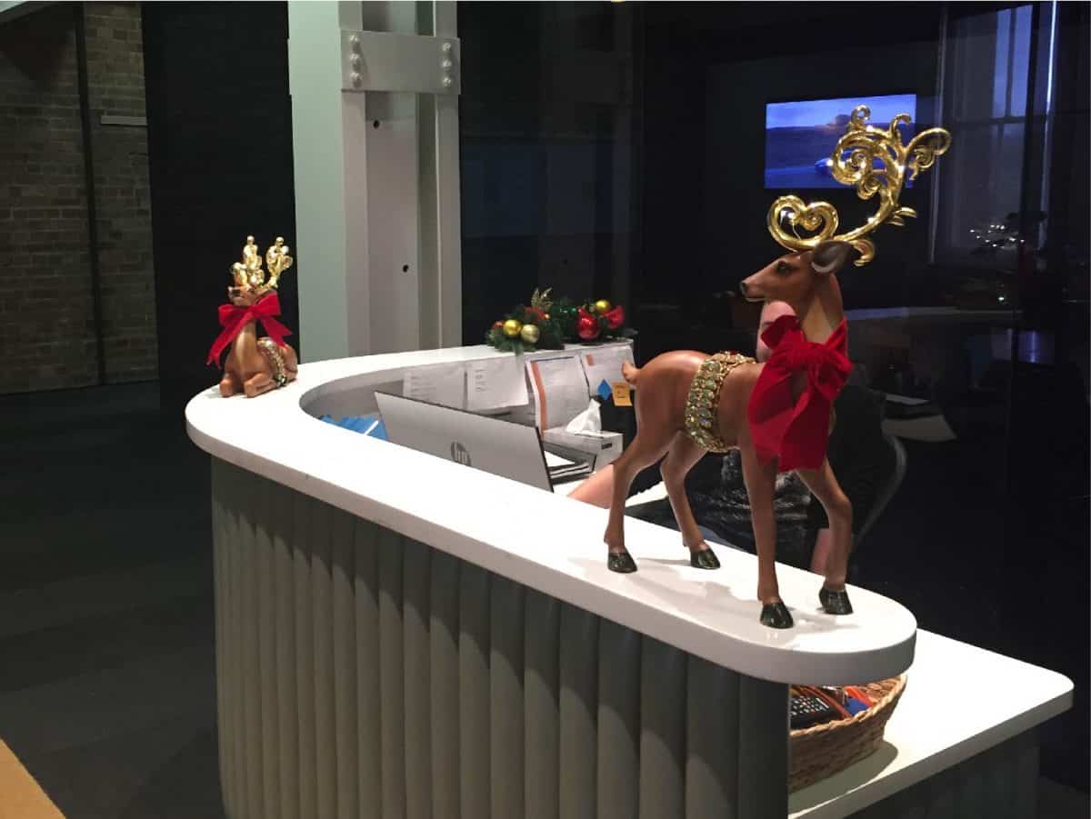 Gallery The Christmas Tree Company